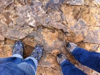 yellow rock 2
