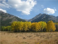 fall in banff