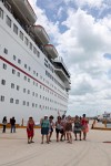 cruisazy elation