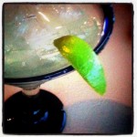 Caribbean Cruise Notes: Cruise Meetings