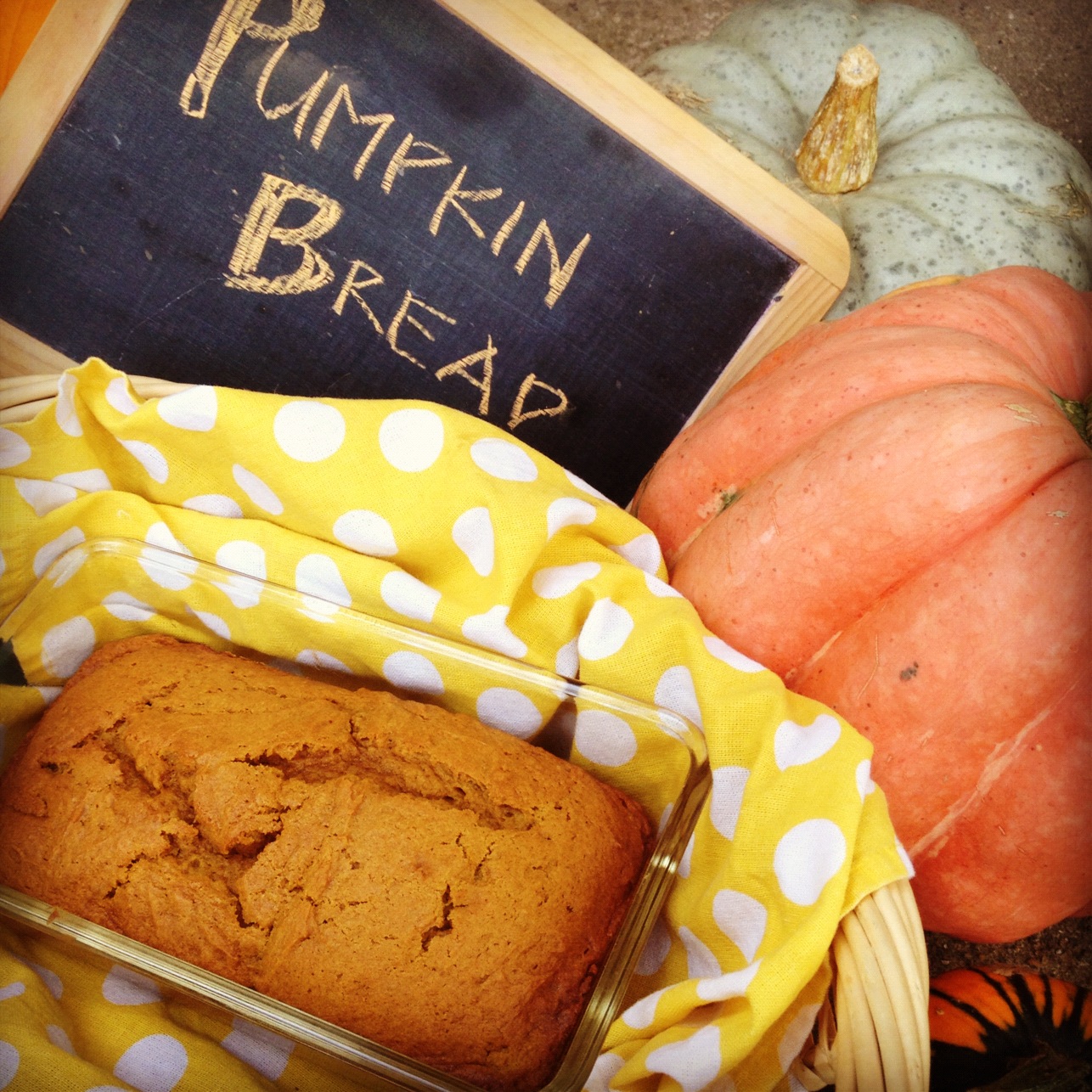 Pumpkin Bread Alison Chino