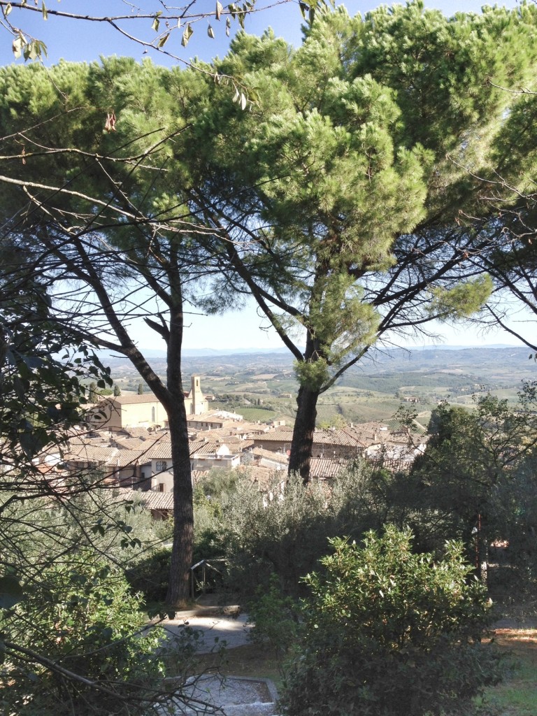 Tuscany, Cruise Port Livorno, San Gimingnano, Italy, Travel in Europe, The Essence of Tuscany Carnival Cruise Excursion, Tuscan Countryside, Italian Countryside