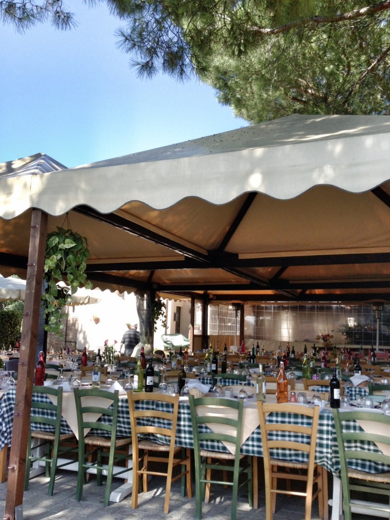 Tuscany, Cruise Port Livorno, San Gimingnano, Italy, Travel in Europe, The Essence of Tuscany Carnival Cruise Excursion, Tuscan Countryside, Italian Countryside, farmhouse lunch