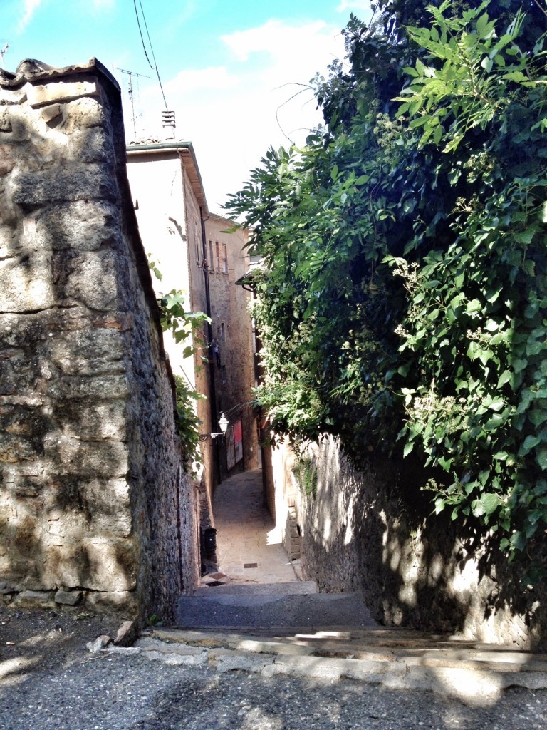 Tuscany, Cruise Port Livorno, Italy, Travel in Europe, The Essence of Tuscany Carnival Cruise Excursion, Tuscan Countryside, Italian Countryside, Volterra