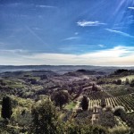 Under the Tuscan Sun