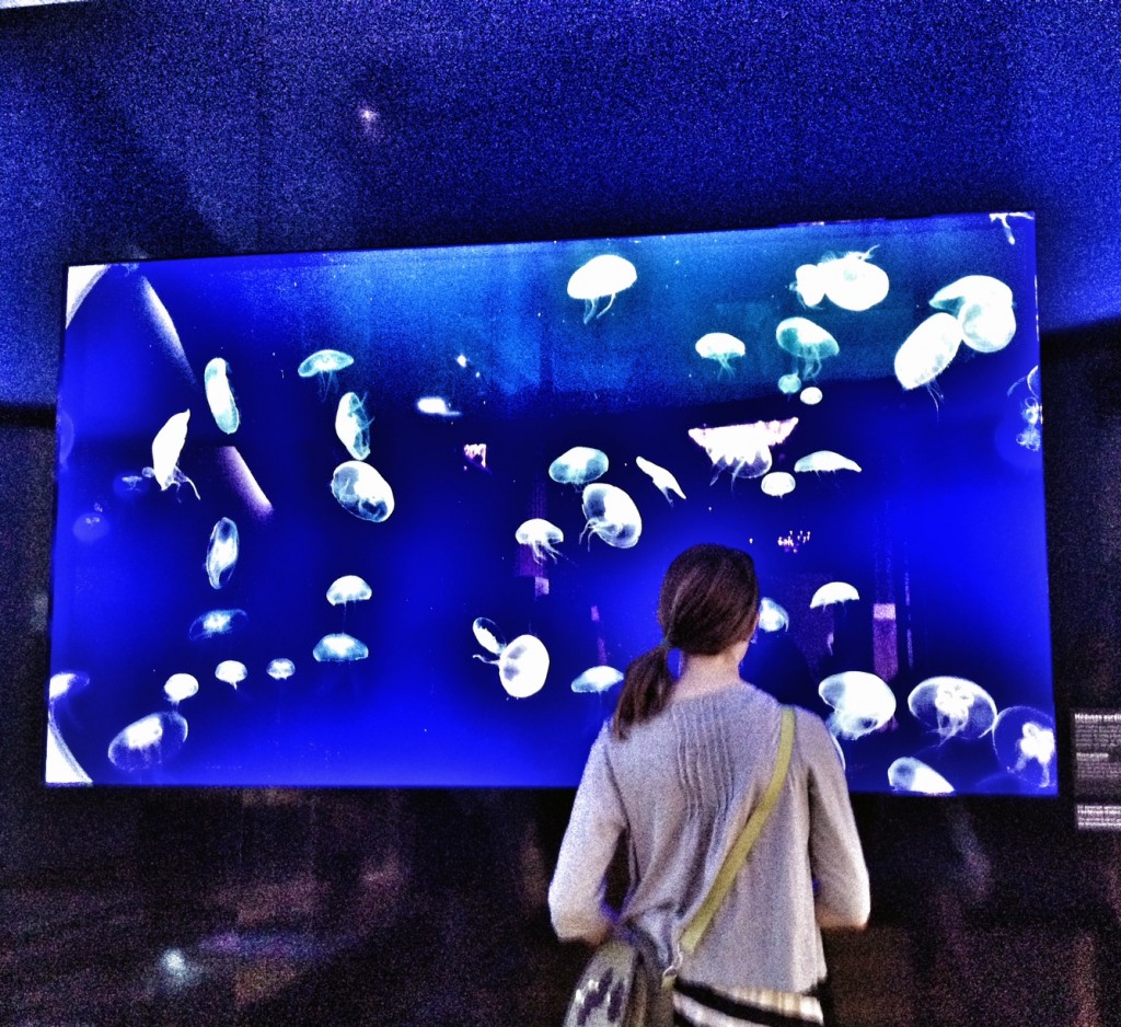Musee Oceanographique, Monaco, Monaco-Ville, Mediterranean Cruise, European travel, What to do in Monaco