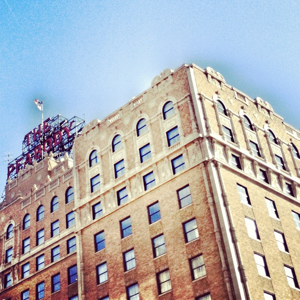 20130218-172917.jpg