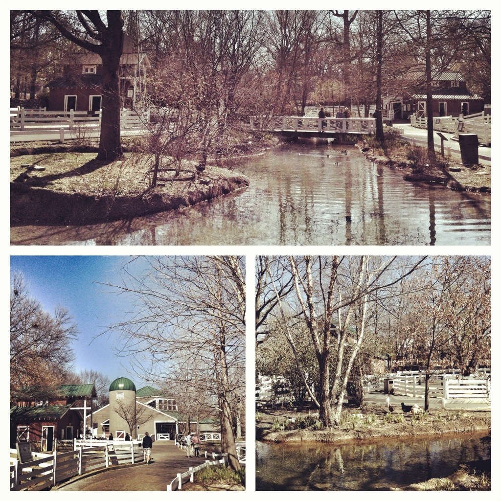 20130218-172959.jpg