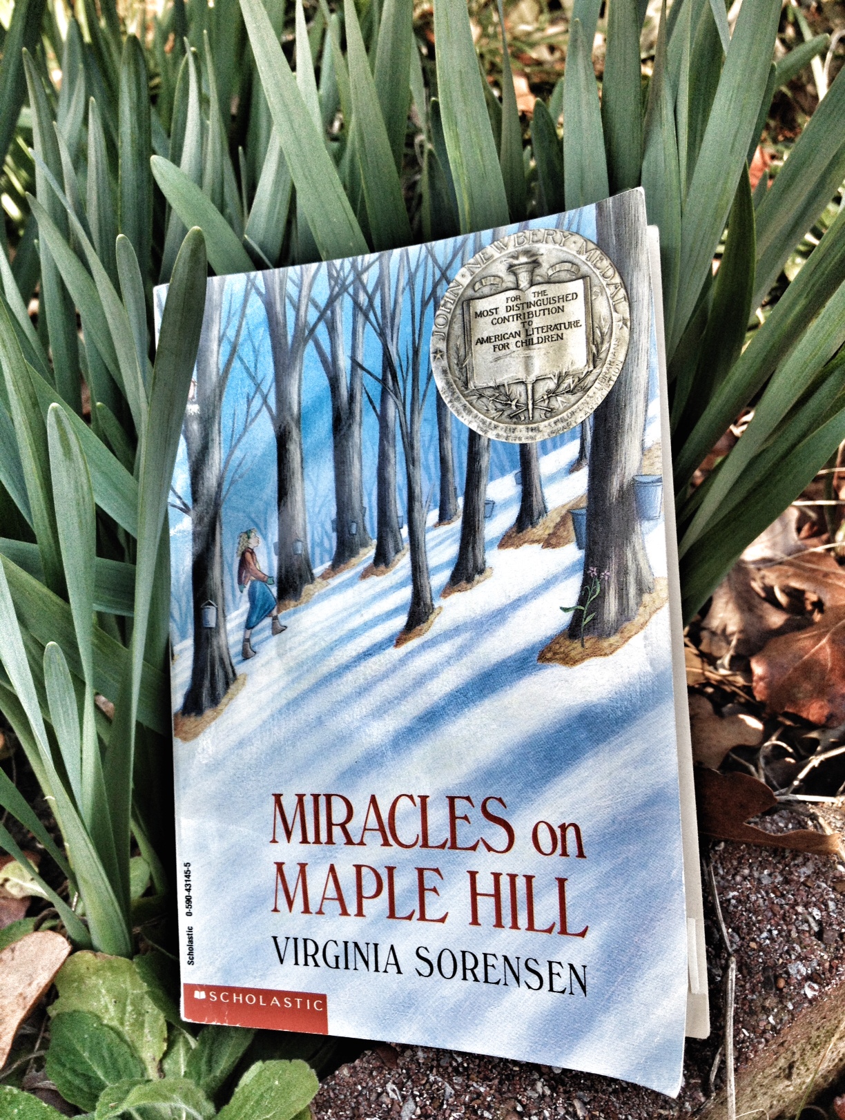 Miracles on Maple Hill, Great Read Alouds, Novels for Children, Newberry Winners