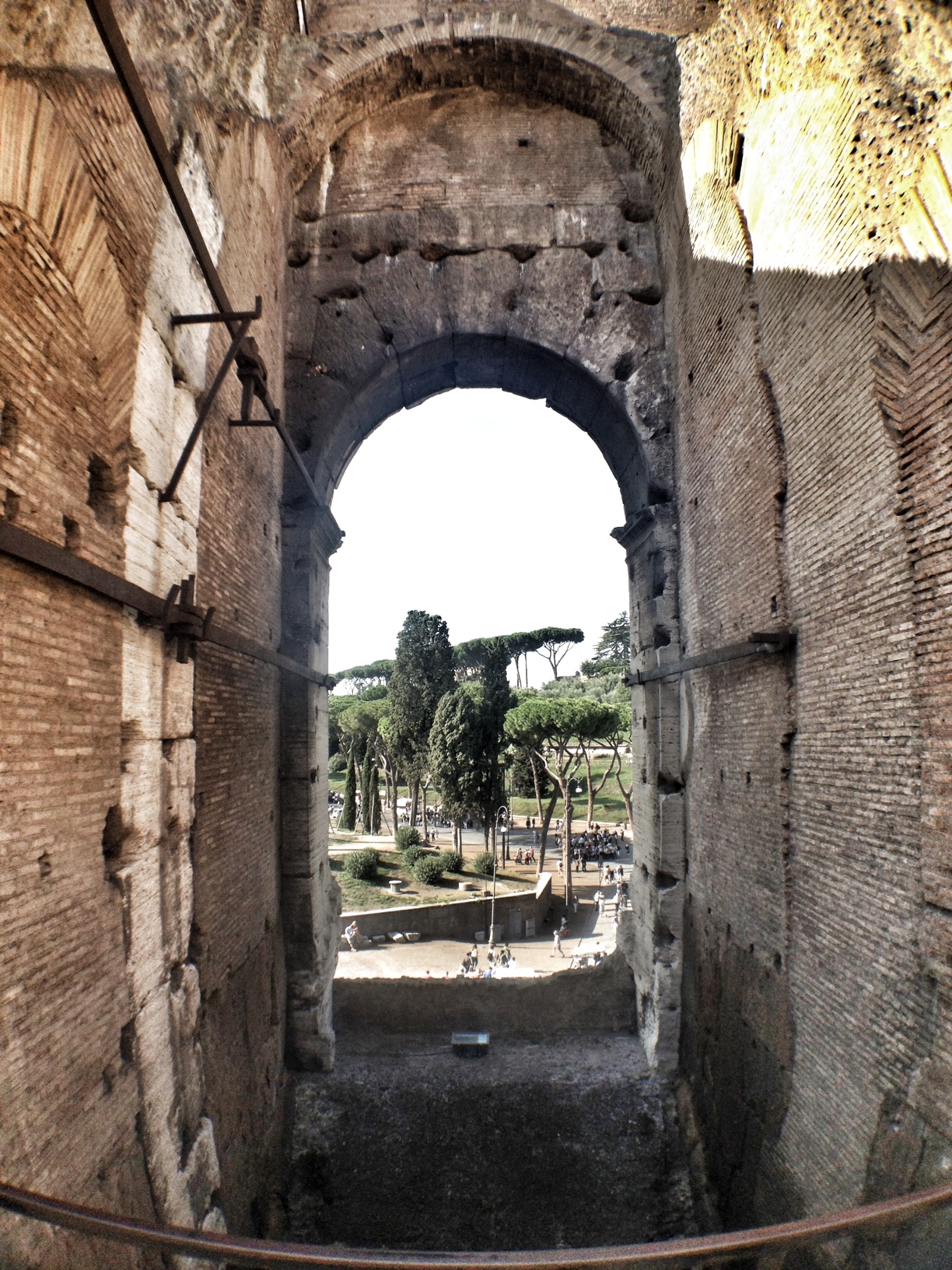 Colosseum, Rome, Italy, European Travel, Mediterranean cruise ports, view from the Colosseum
