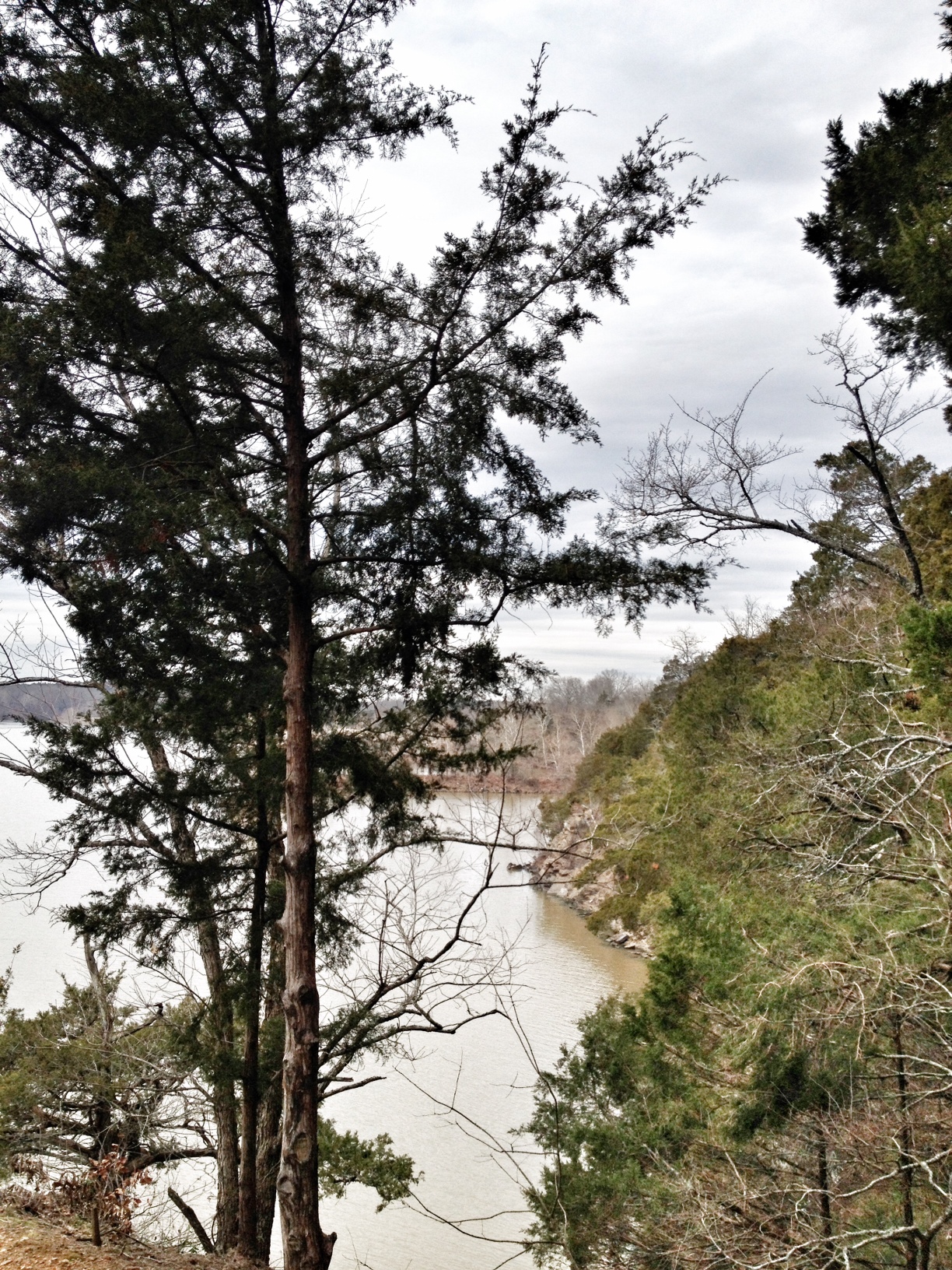 Tollantusky Trail, Hiking in Arkansas, Arkansas Hiking Trails, Exploring Arkansas, Outside with kids