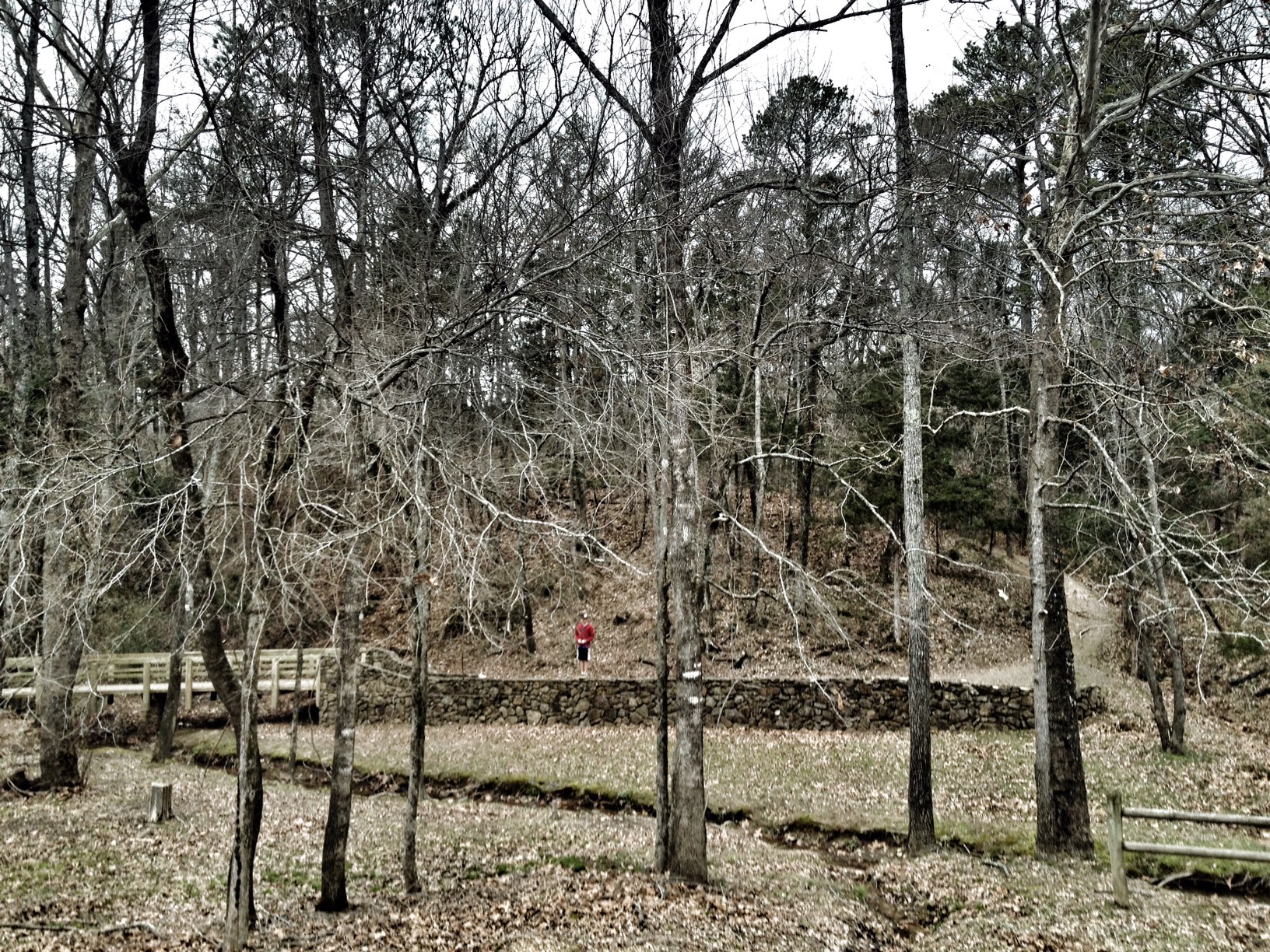 Tollantusky Trail, Hiking in Arkansas, Arkansas Hiking Trails, Exploring Arkansas, Outside with kids