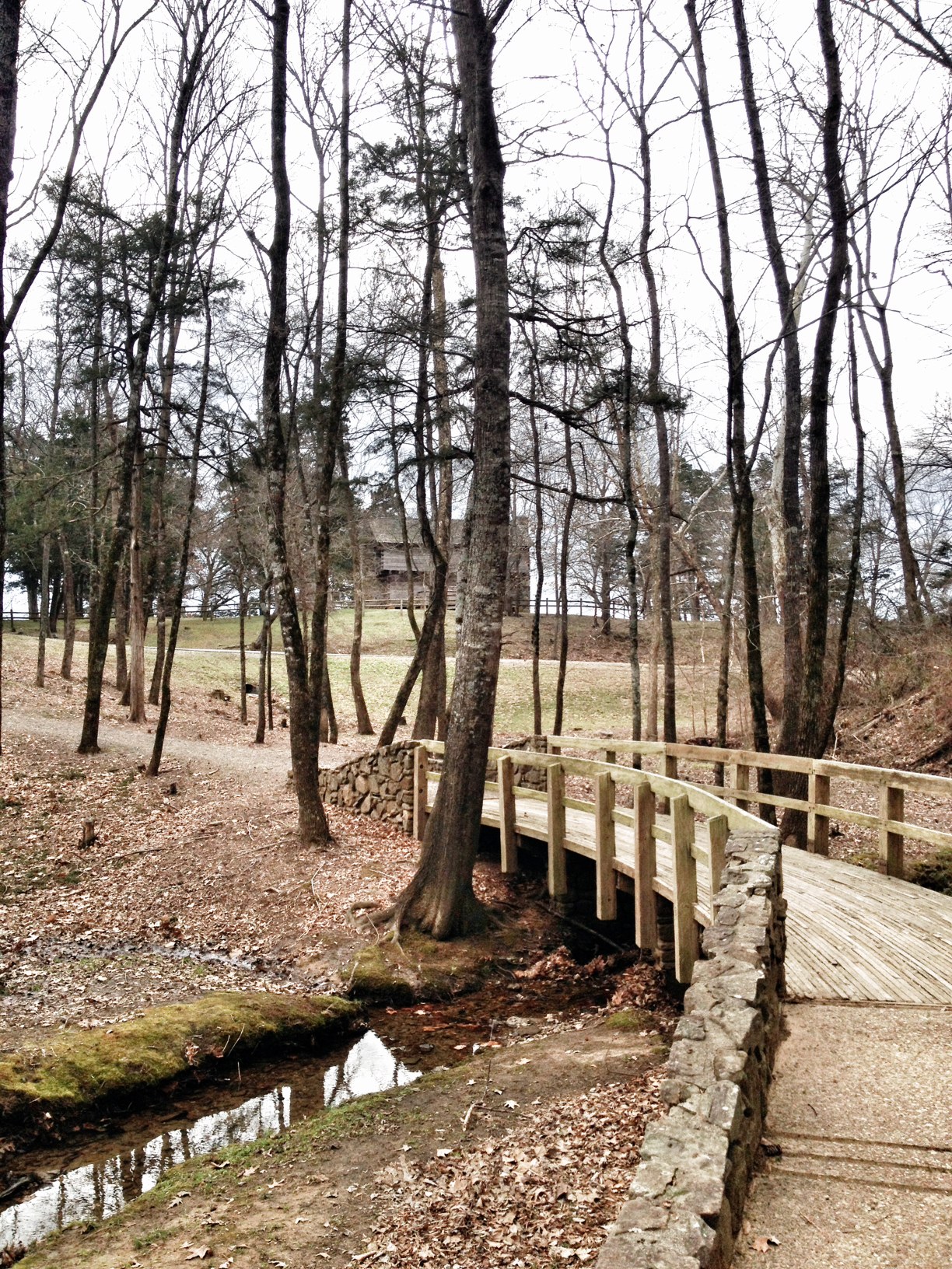 Tollantusky Trail, Hiking in Arkansas, Arkansas Hiking Trails, Exploring Arkansas, Outside with kids