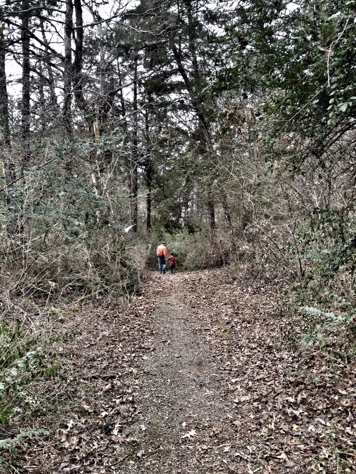 Tollantusky Trail, Hiking in Arkansas, Arkansas Hiking Trails, Exploring Arkansas, Outside with kids
