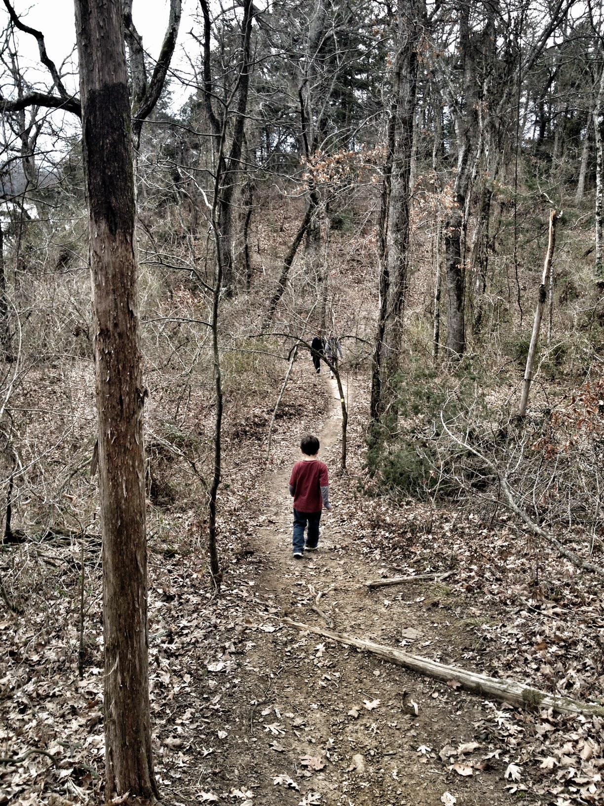 Tollantusky Trail, Hiking in Arkansas, Arkansas Hiking Trails, Exploring Arkansas, Outside with kids