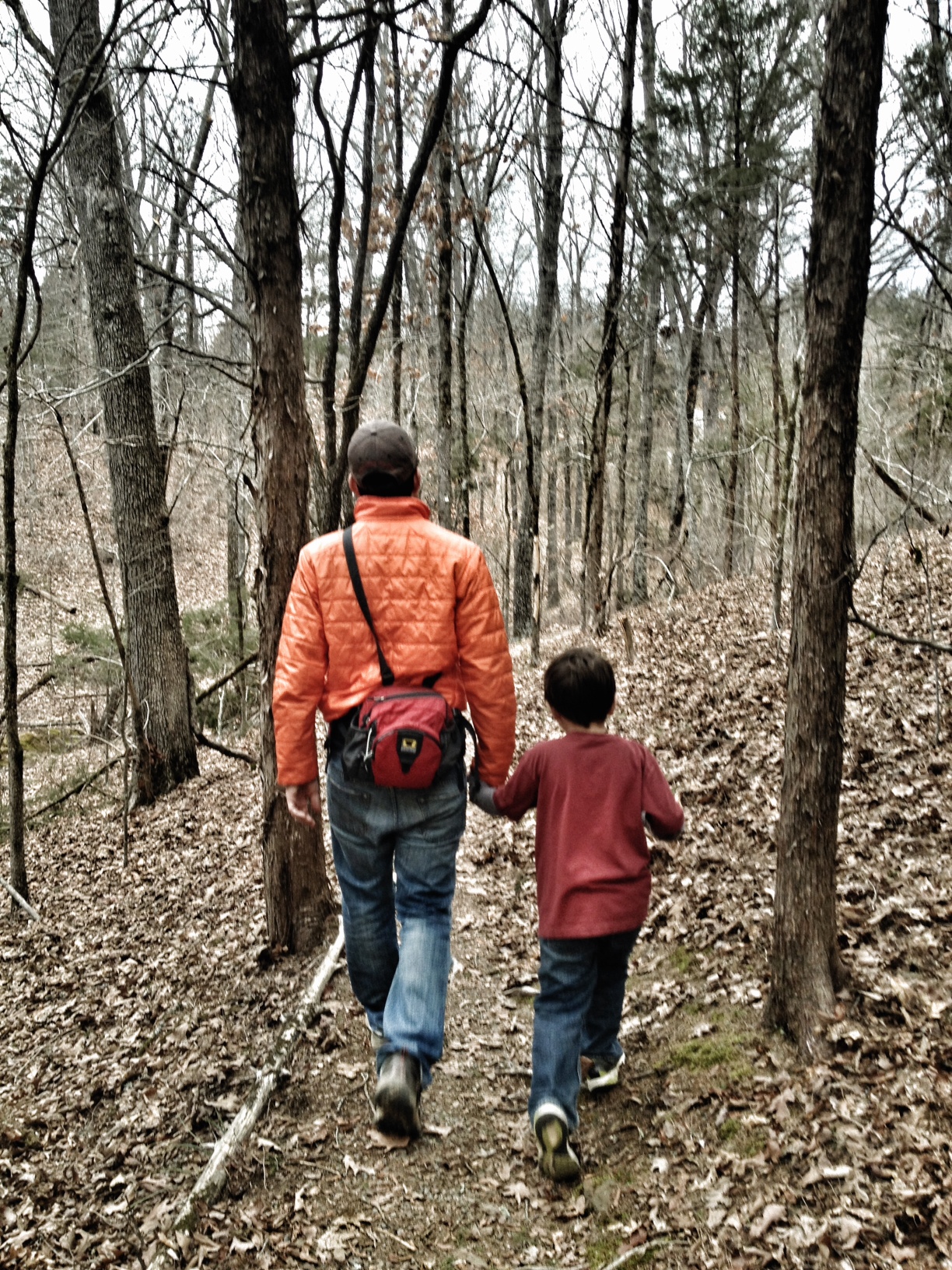 Tollantusky Trail, Hiking in Arkansas, Arkansas Hiking Trails, Exploring Arkansas, Outside with kids
