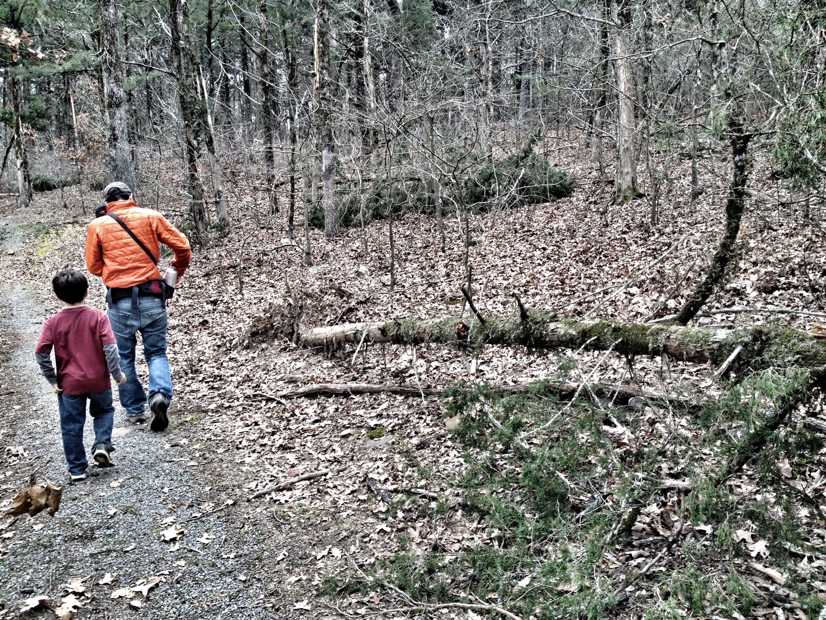 Tollantusky Trail, Hiking in Arkansas, Arkansas Hiking Trails, Exploring Arkansas, Outside with kids