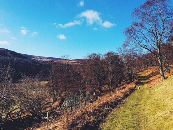 Cairngorms, Highlands, Scotland March Walks, Snapshots of Scotland