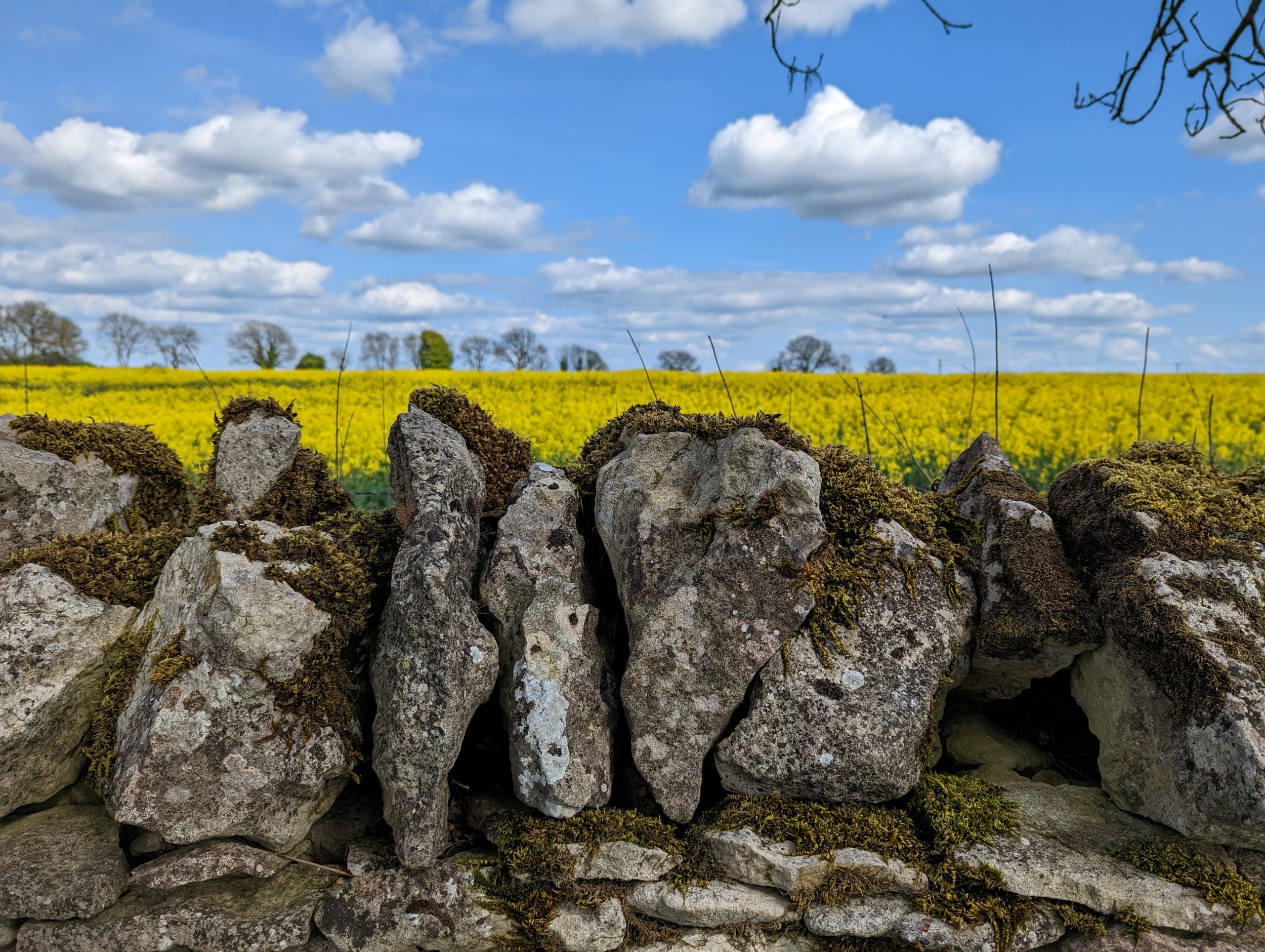 The Cotswold Way Day 1 from Chipping Campden to Stanton Alison Chino